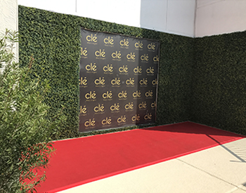 Red Carpet